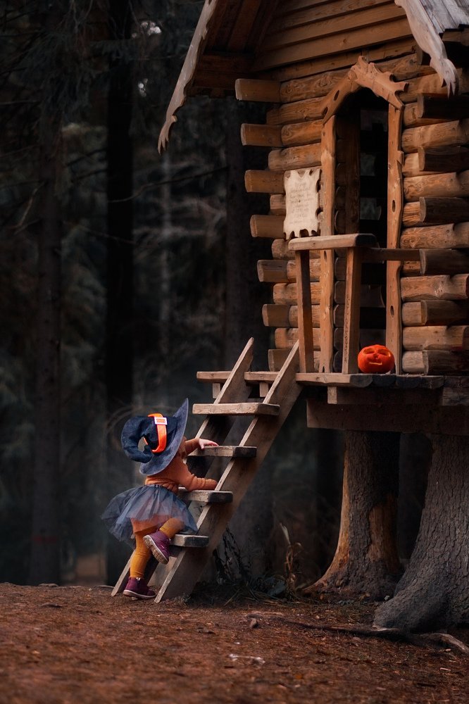 Фотография автора Елена Петрова