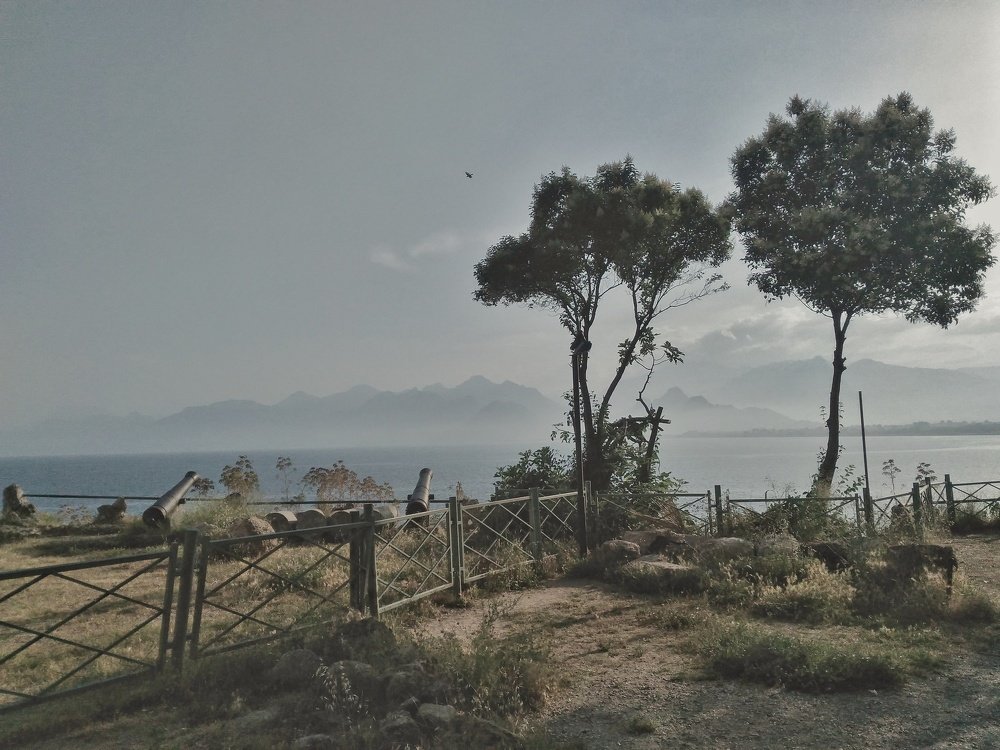 Photo #3804144