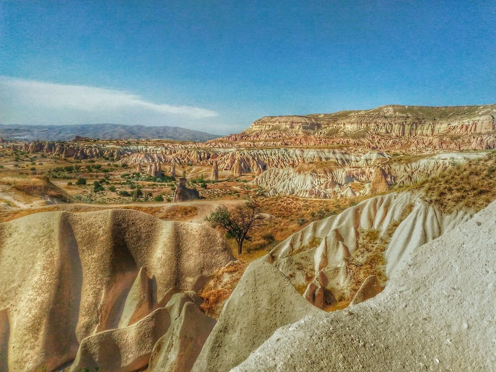 Photo #3804145