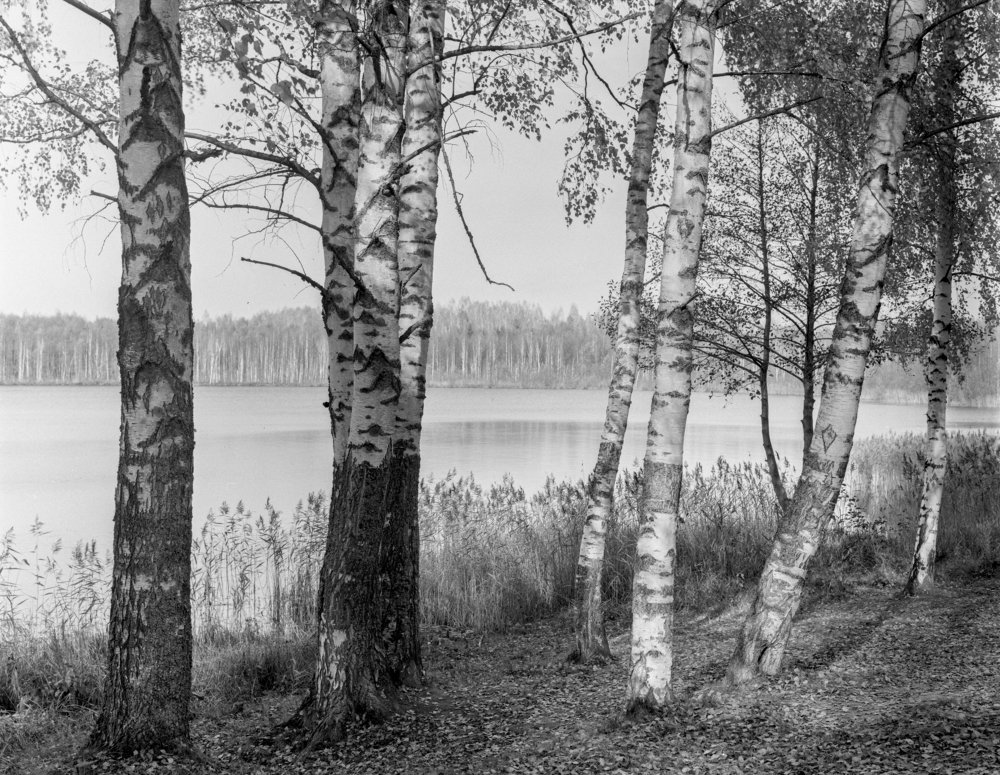 Photograph by Kuzmichev Alexey