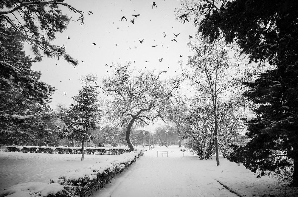 Photograph by Елена Покрепа