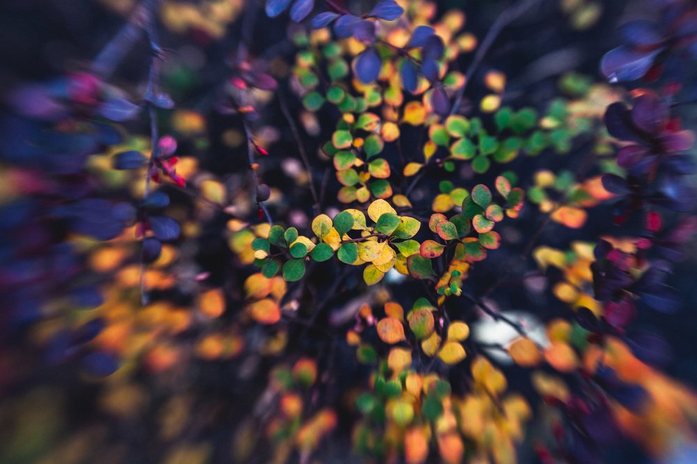 Photograph by Евгения Кондратьева