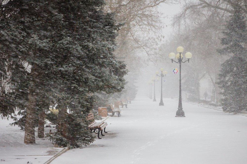 Photograph by Елена Покрепа