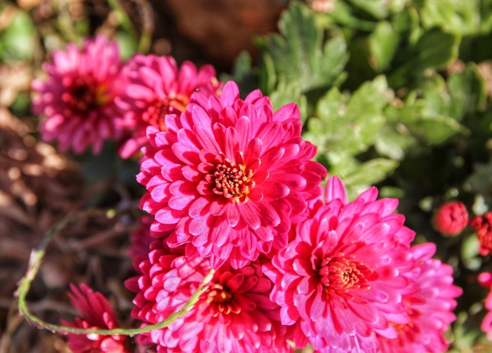 Photograph by Владимир Осипов