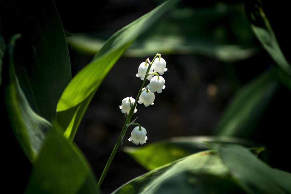 Photograph by Николай Ефимов