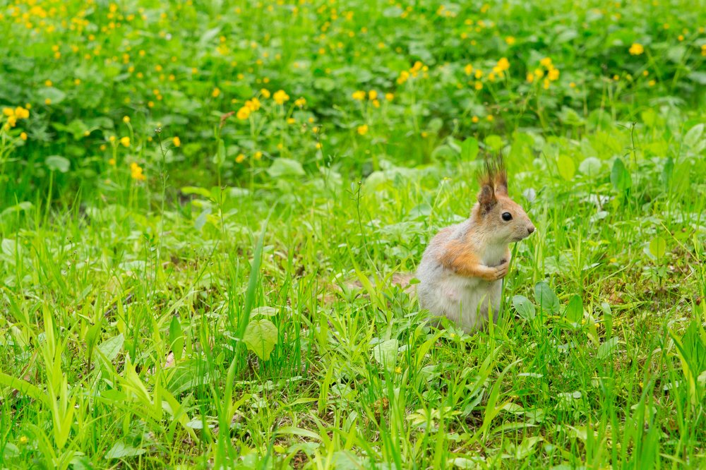 Photograph by Светлана Демина