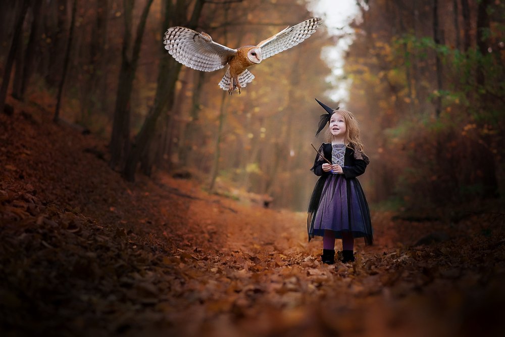 Photograph by Виктория Поздеева