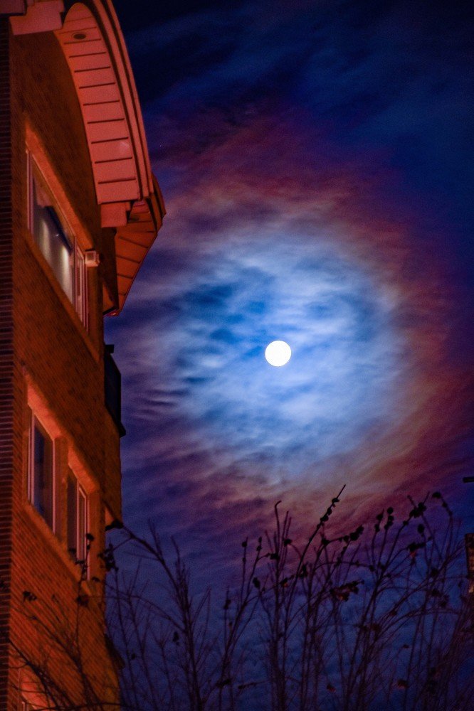 Photograph by MORTEZA ASALI