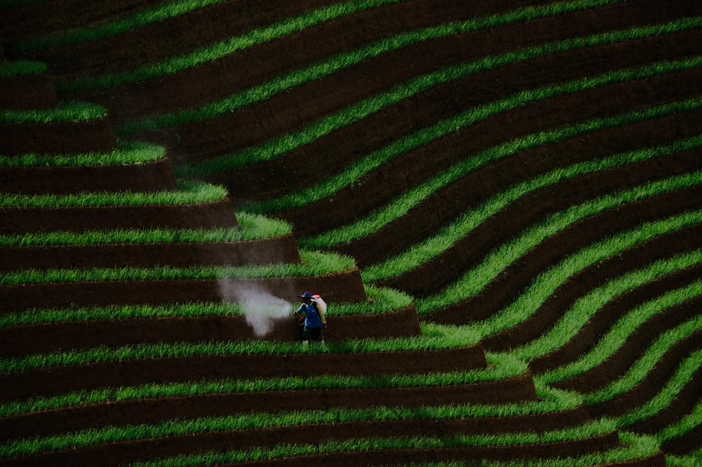 Photograph by Arief Dharma Kurniawan Dharma Kurniawan