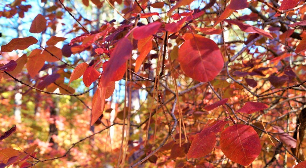 Photograph by Александр Киселев