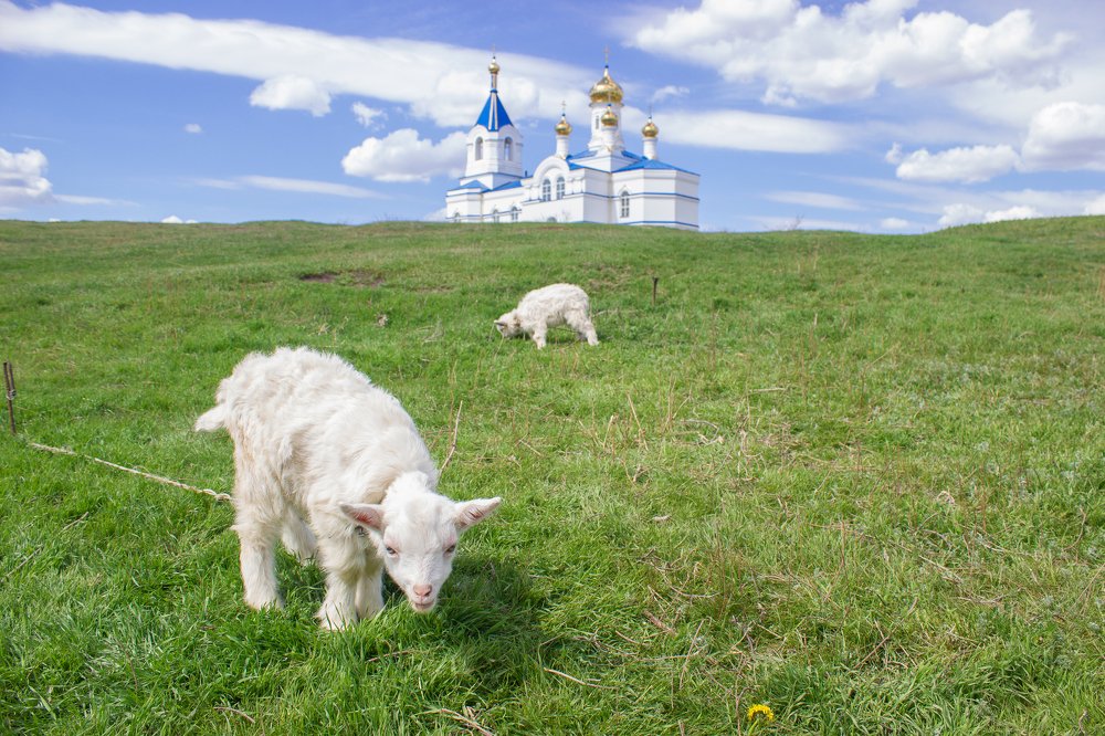 Photograph by Дина Горбачёва