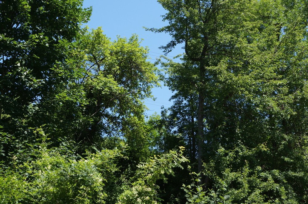 Photograph by Александр Киселев