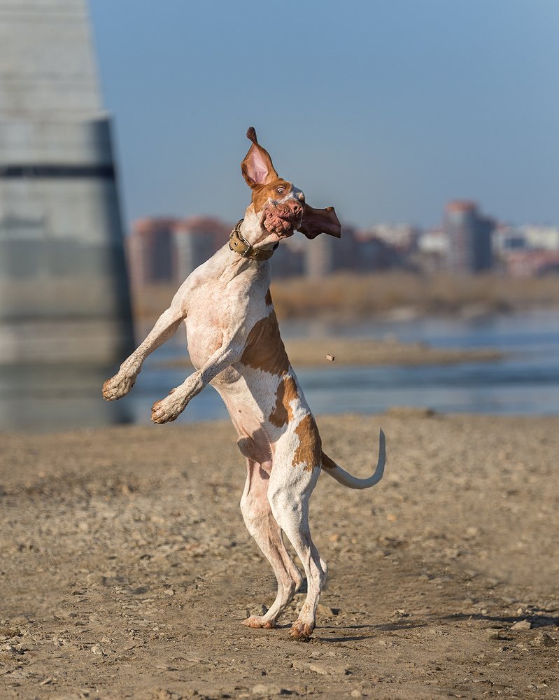 Photograph by Юлия Прозорова