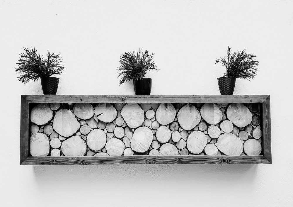 Potted plants