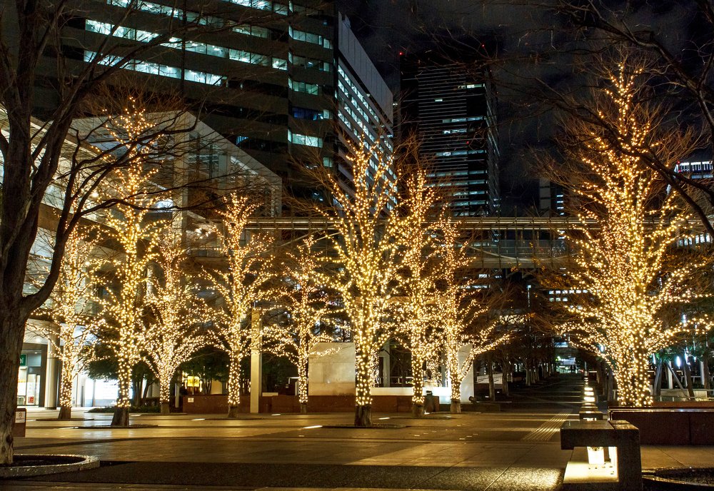 Photograph by Басалаев Евгений