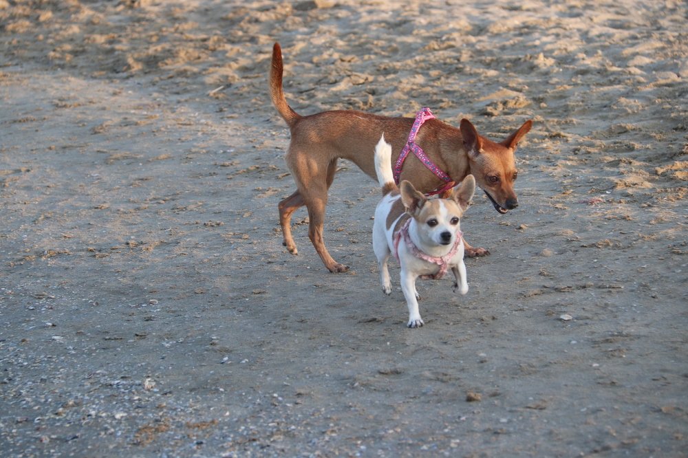 Photograph by OSSETROVA Eugeniya