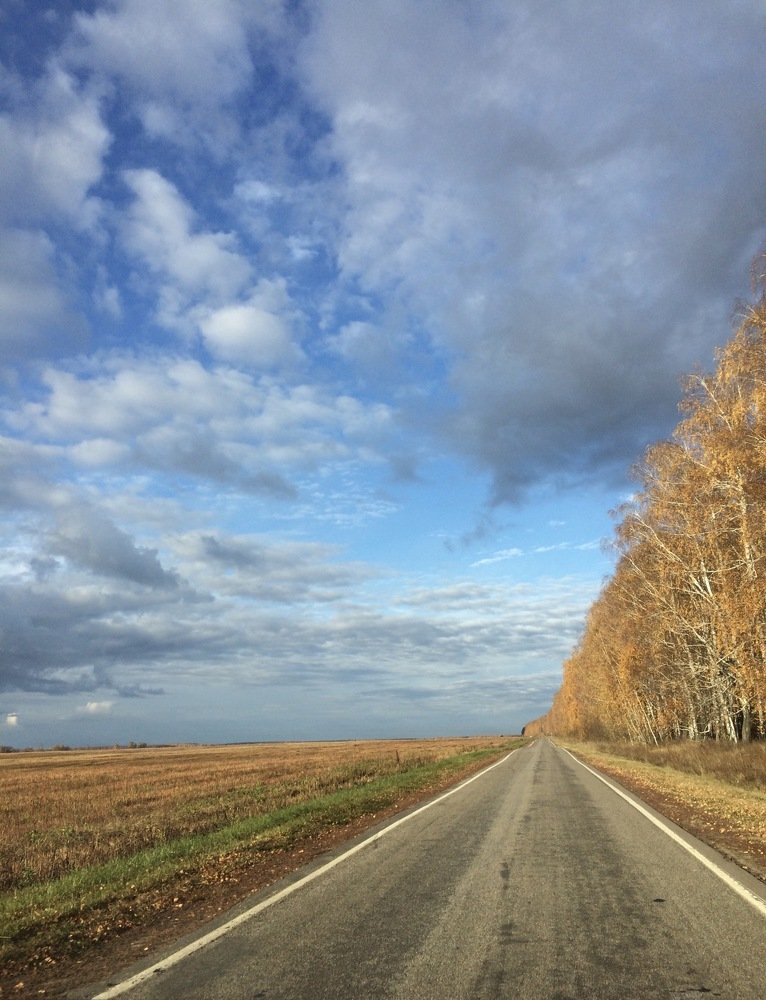 Дорога среди осени