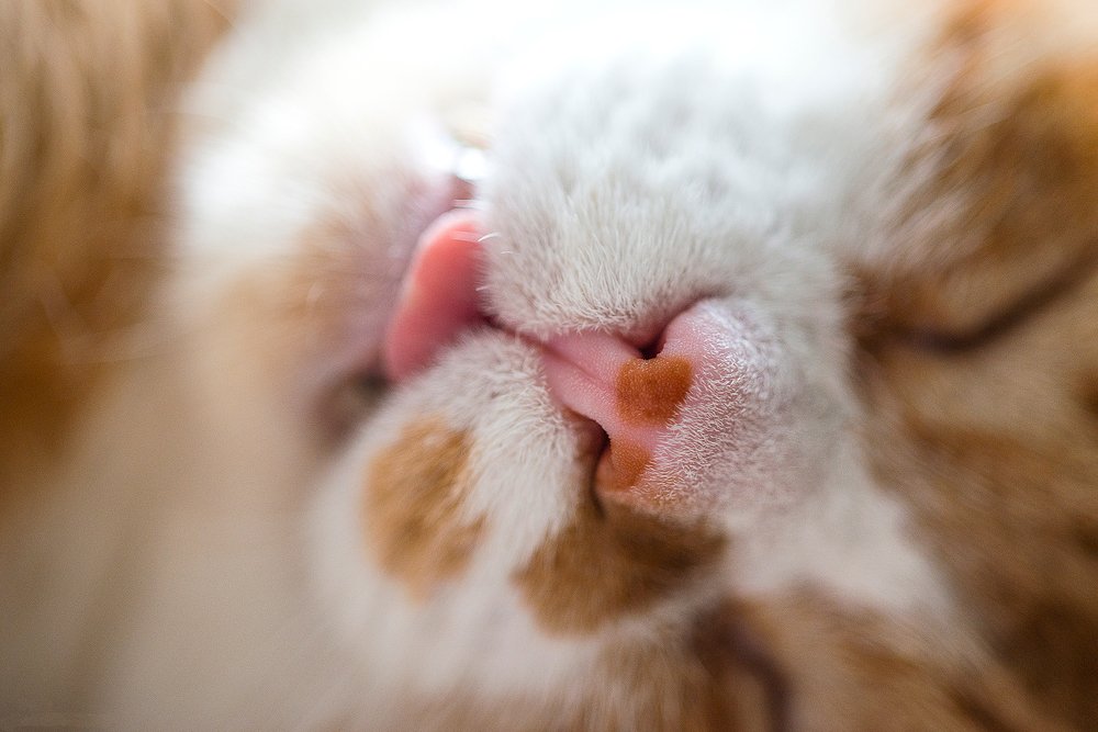 Photograph by Анна Василькова