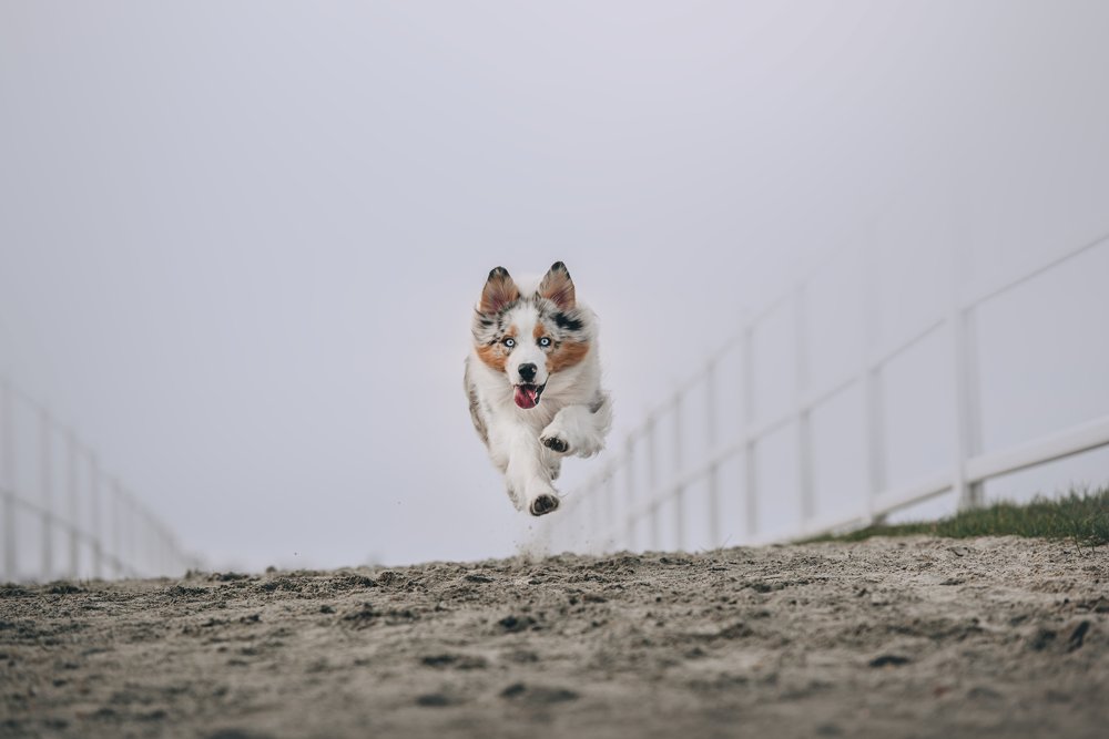 Photograph by Alexandra Morrison