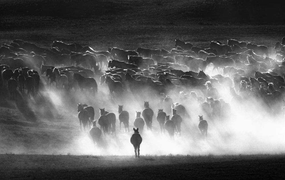 Photograph by Kok Tien Sang