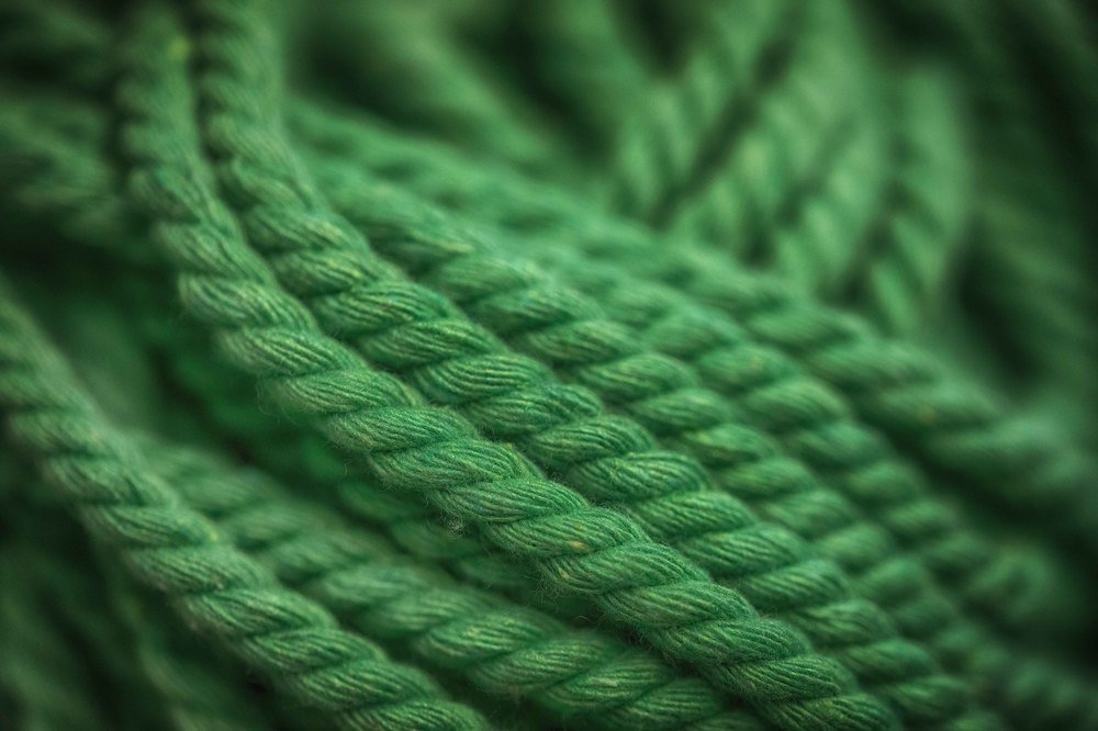 Photograph by Guy Krier