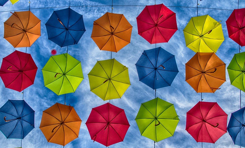 Photograph by Guy Krier