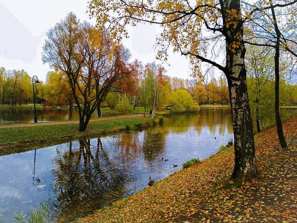 Тёплый осенний день в Петербурге