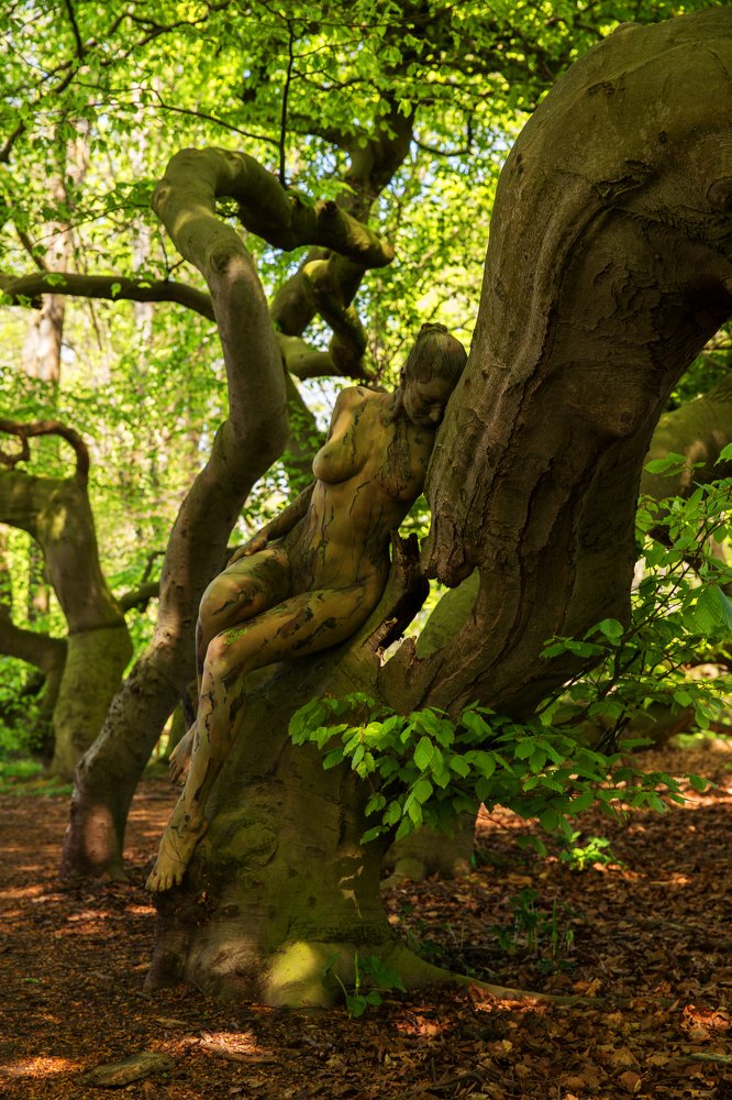 Photograph by Dirk Ludwig