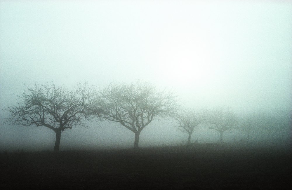 Photograph by Dirk Ludwig