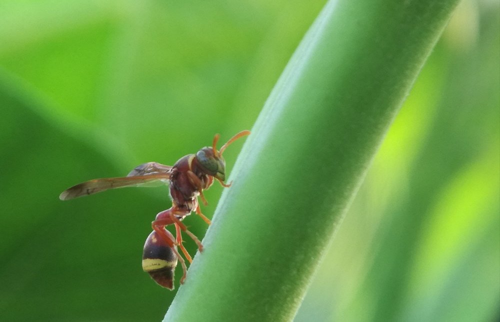 Photograph by Sul Fadly