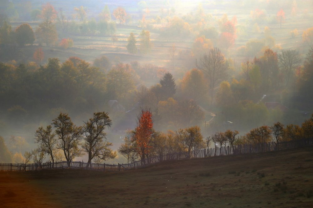 Photograph by Dzintra Zvagina