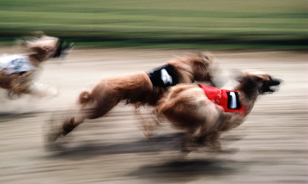 Photograph by Dirk Ludwig