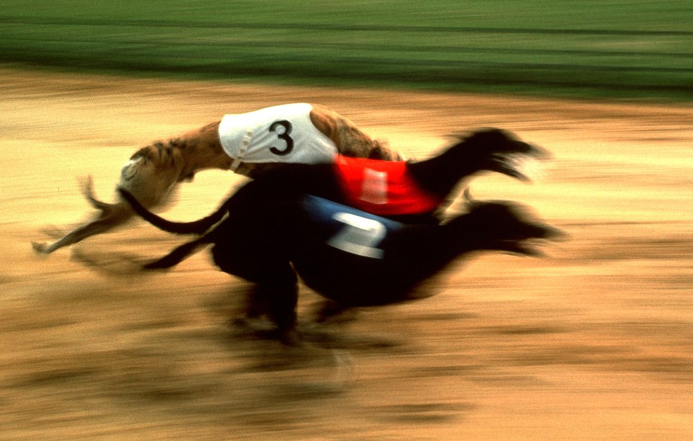 Photograph by Dirk Ludwig