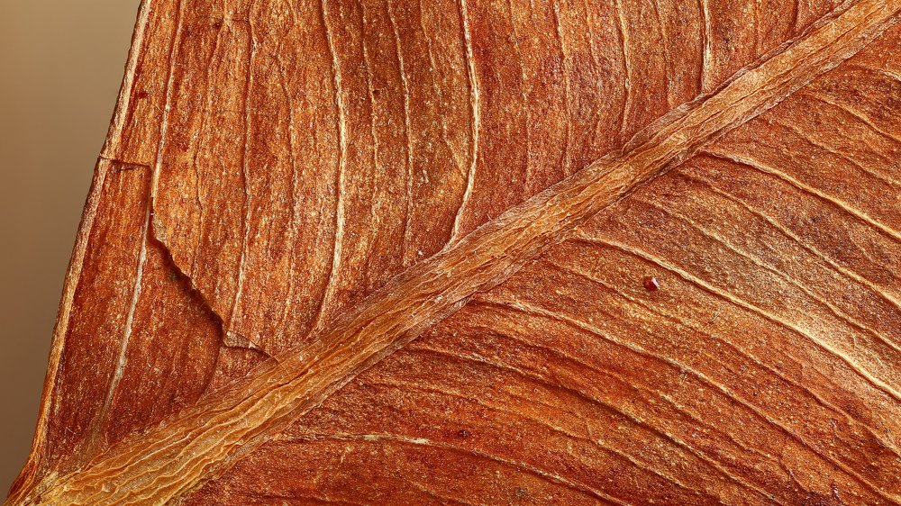 Фотография автора Андрей Шаповалов