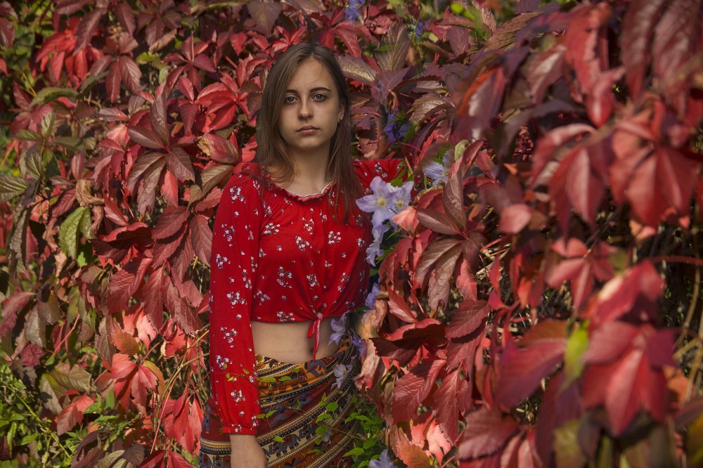 Красный вьюн