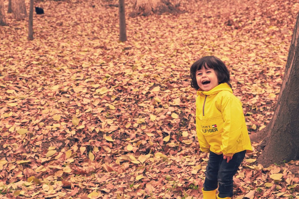 Photograph by Fateme Alaei