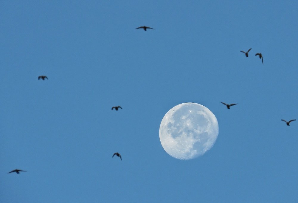 Photograph by Bahrami Ashkan