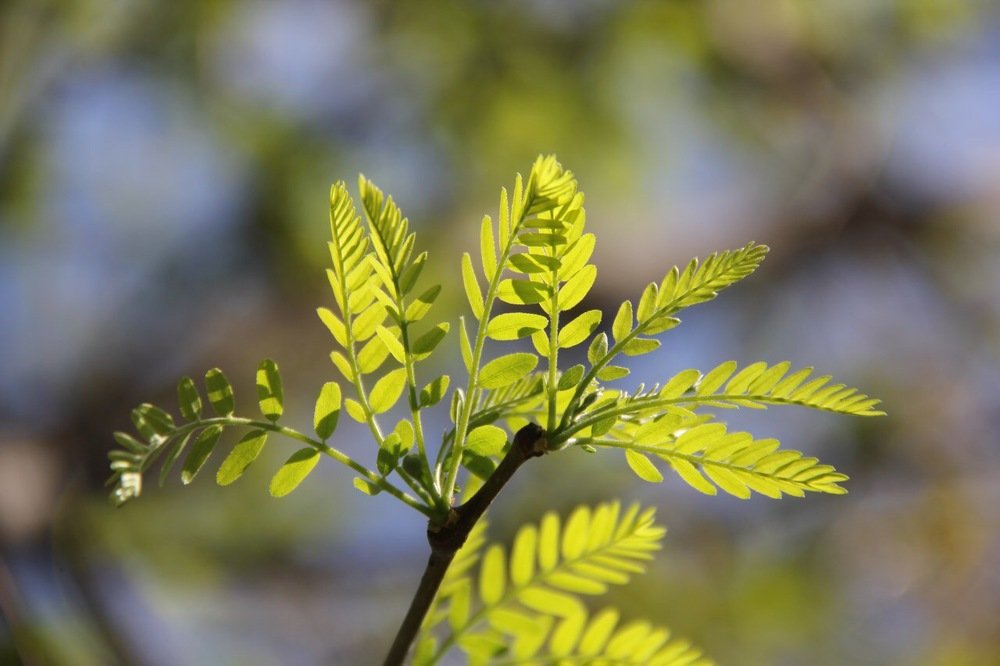 Photograph by Юлия Голубкова