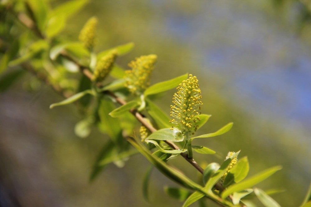 Photograph by Юлия Голубкова