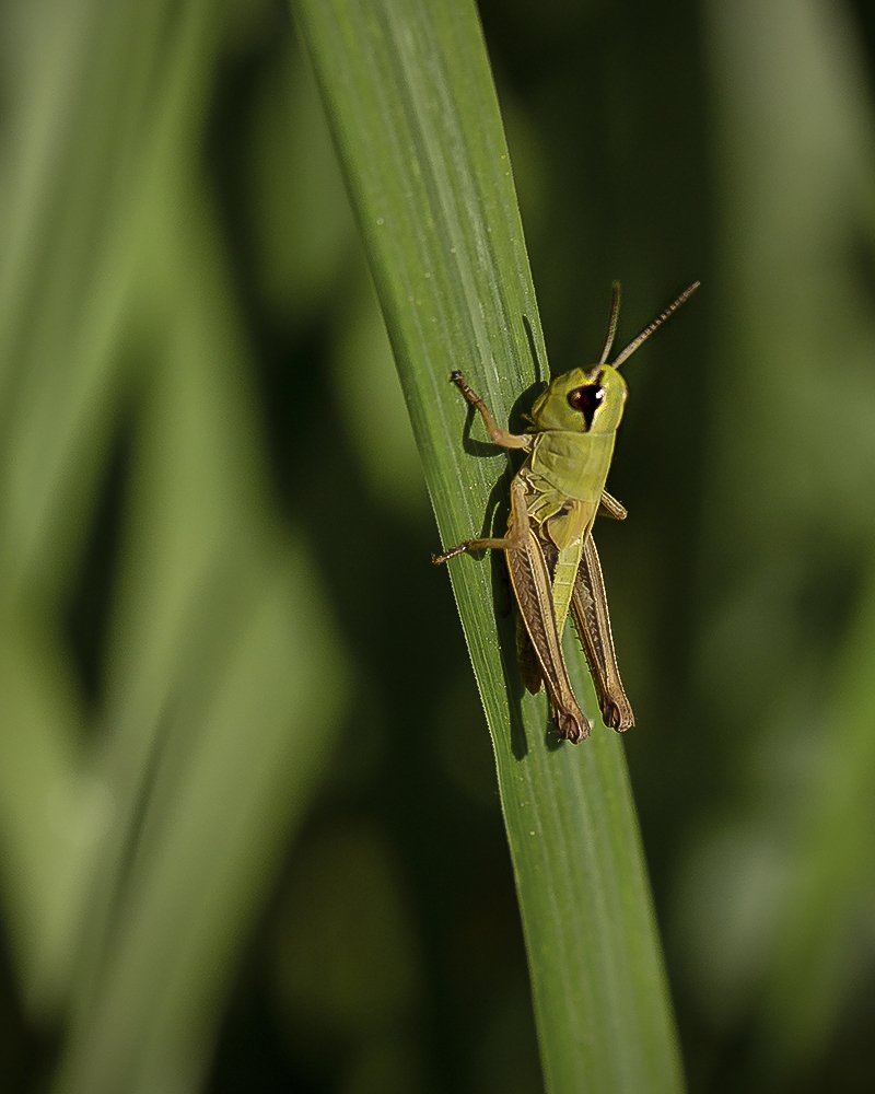Photograph by Евгений Барзенков