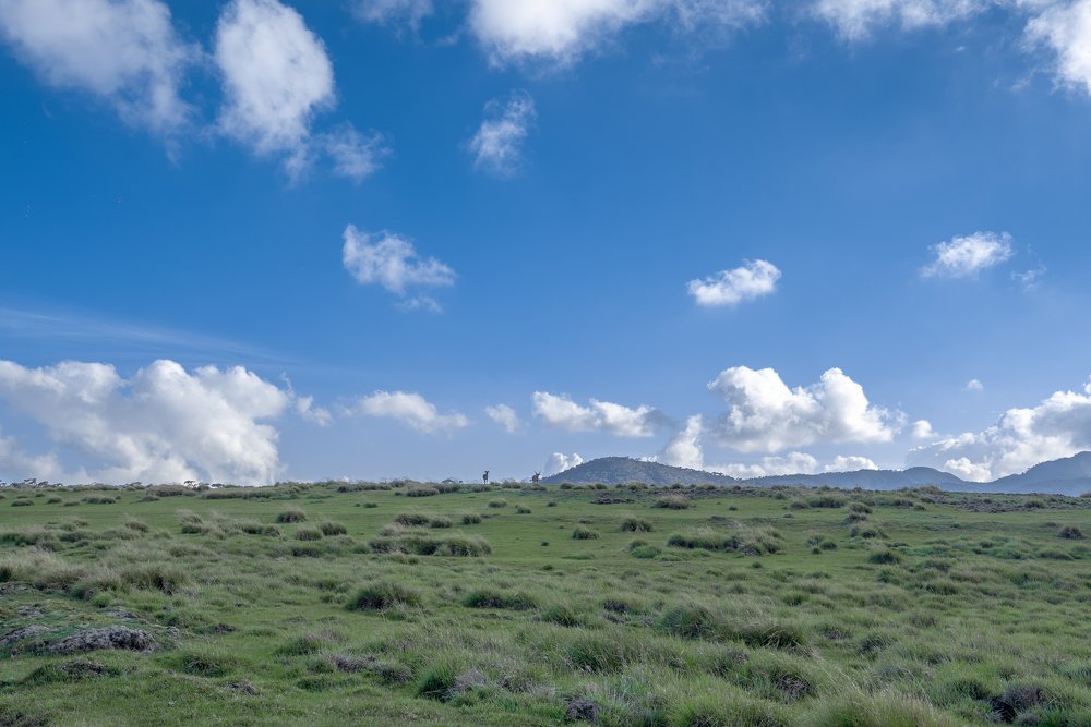 Photograph by Madhusha Senavirathna