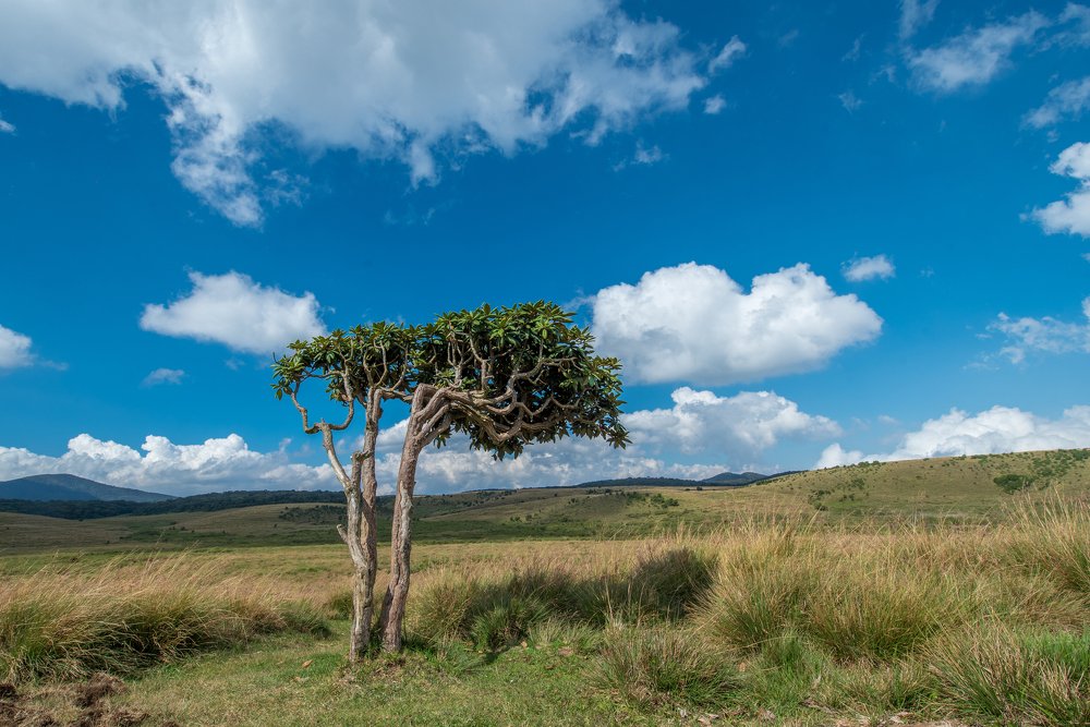 Photograph by Madhusha Senavirathna