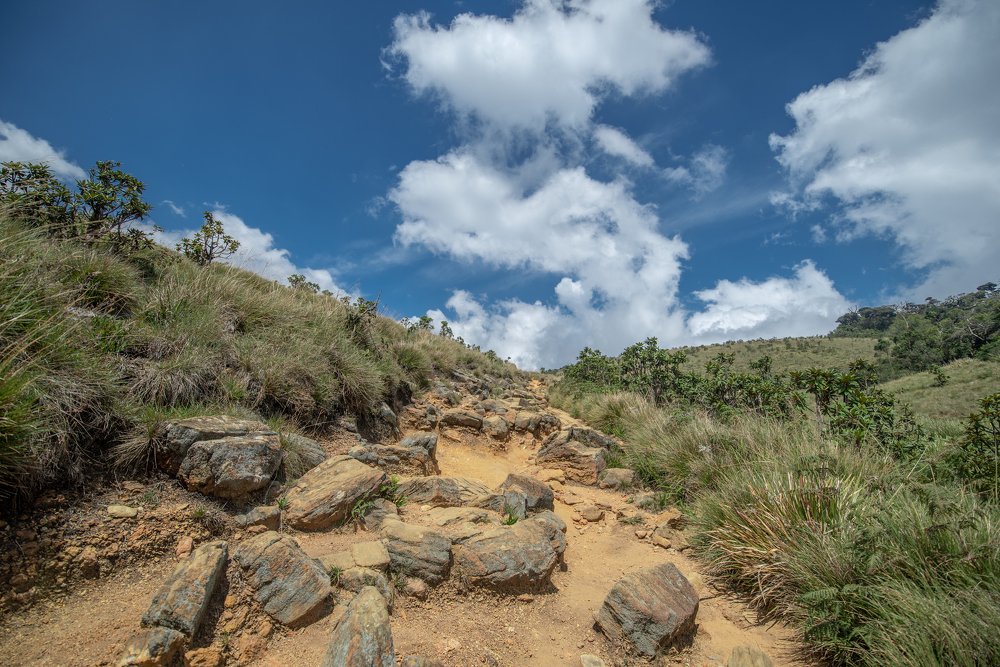 Photograph by Madhusha Senavirathna