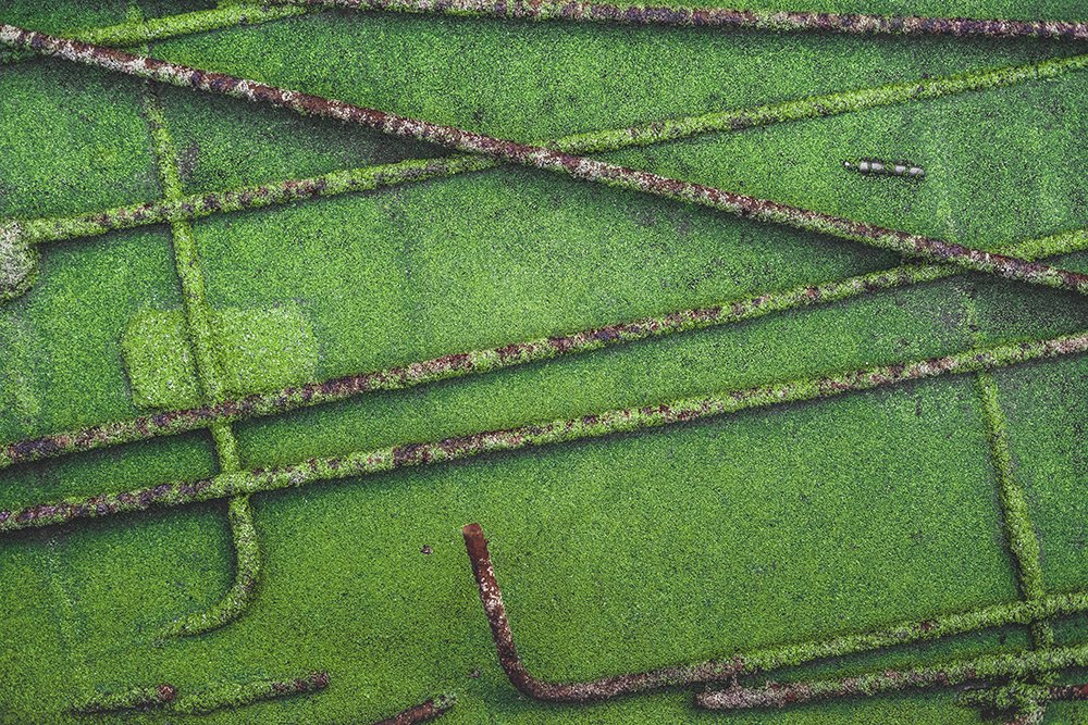 Photograph by Saman koosha