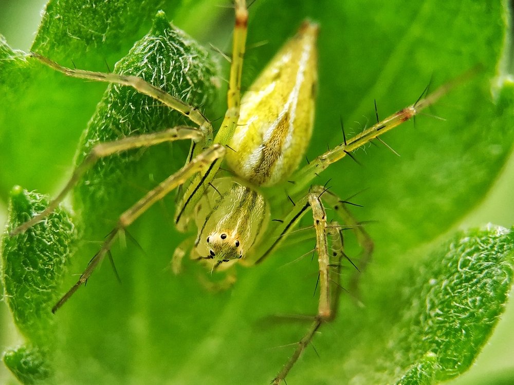 Photograph by Shaikh Alfaz Uddin