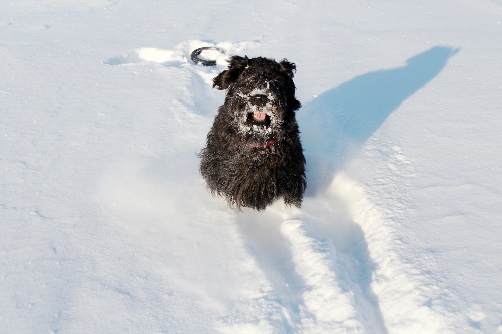 Photograph by Татьяна Соколова