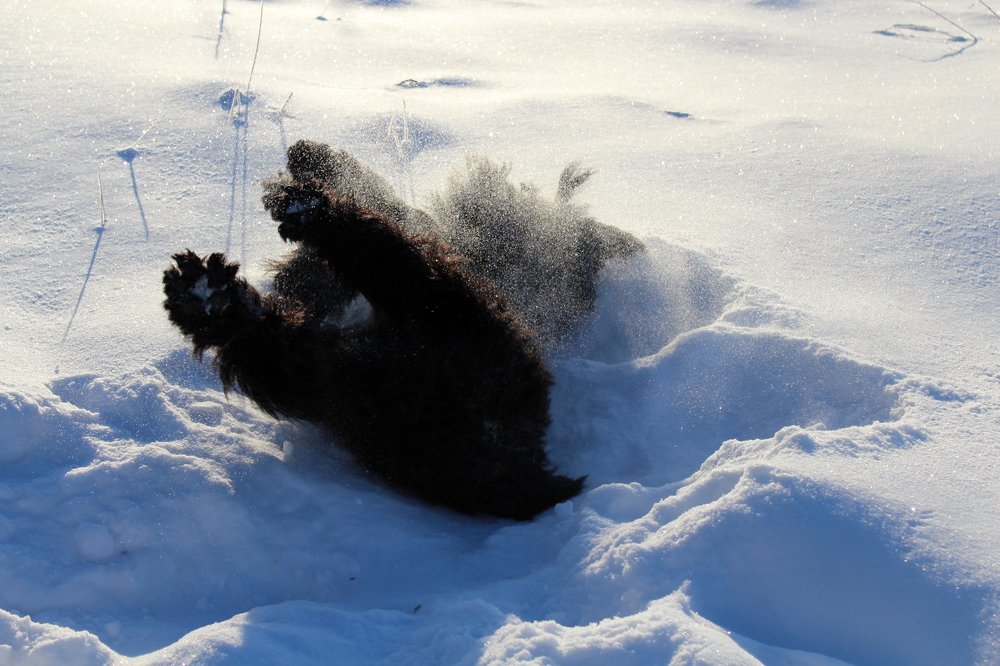 Photograph by Татьяна Соколова