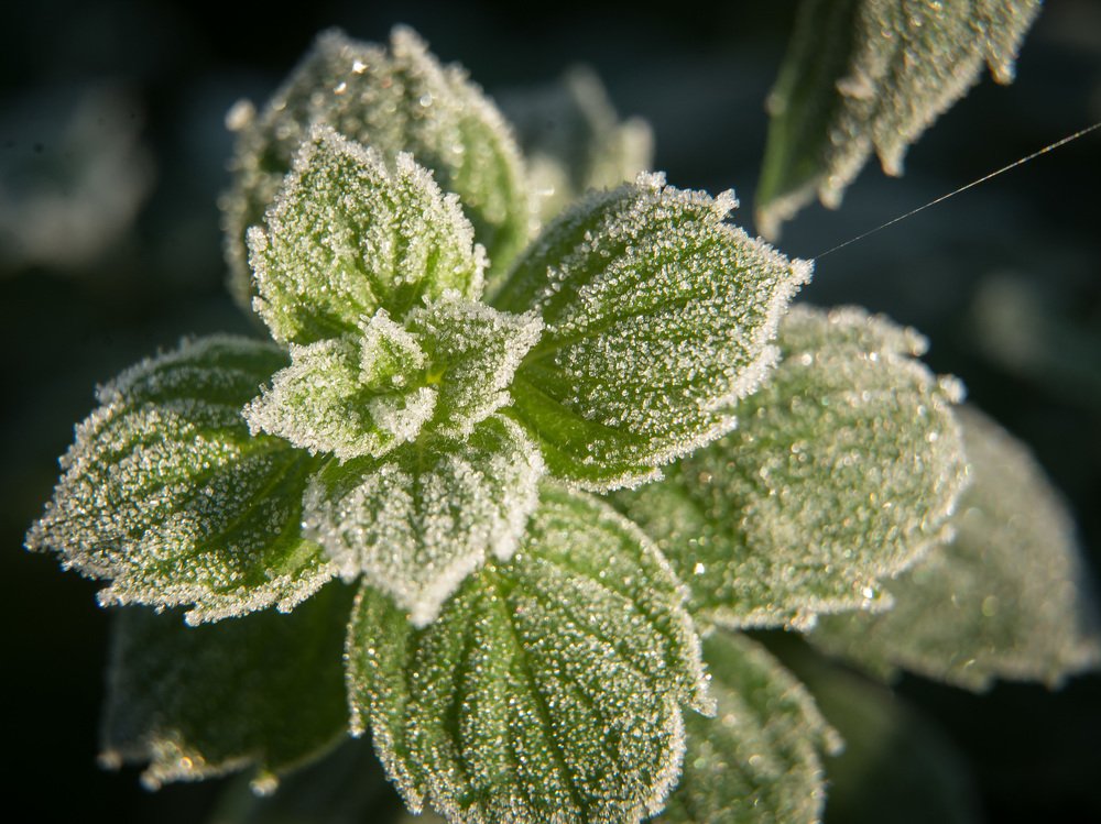 Photograph by Татьяна Чичковская