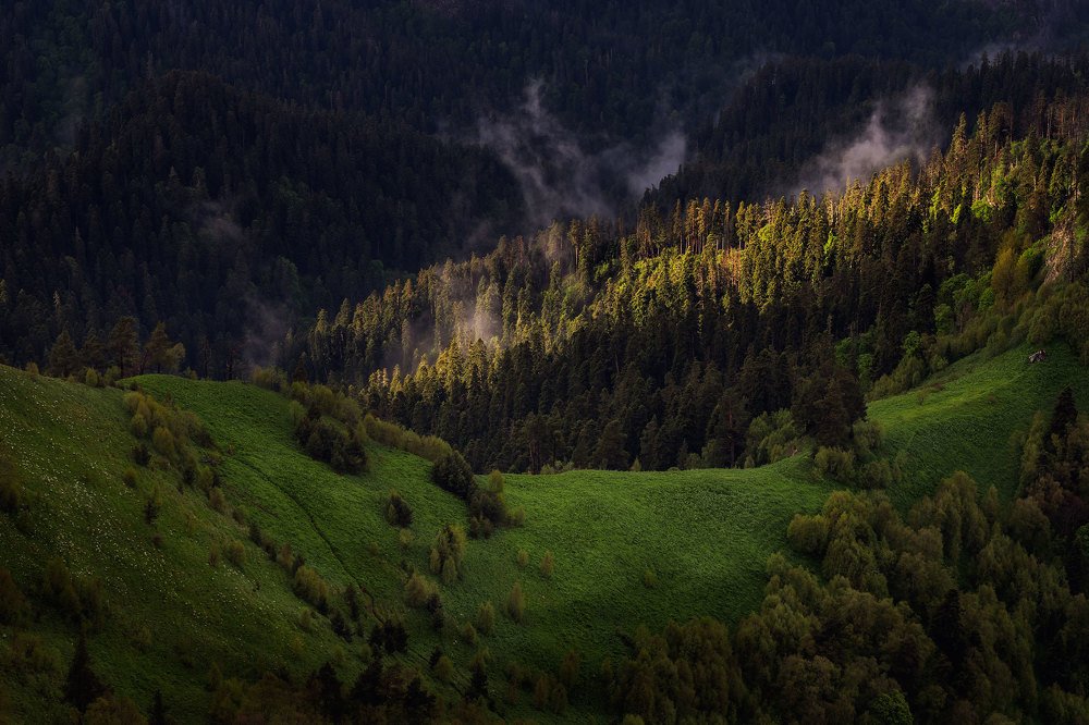 Photograph by Юрий Головченко