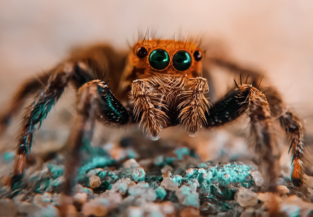 Photograph by Shaikh Alfaz Uddin